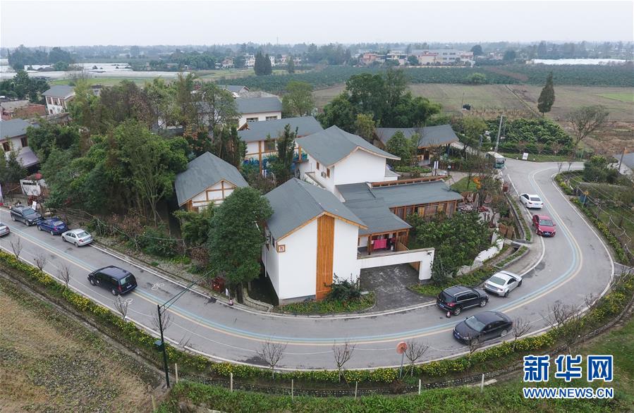 (乡村振兴·图文互动)(3)林盘经济怎么“盘”?小村落有大智慧