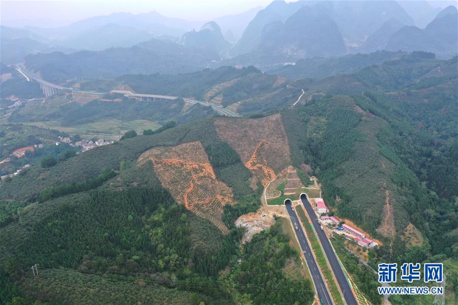 （新华全媒头条&middot;图文互动）（12）跨越时空的精神力量&mdash;&mdash;写在百色起义90周年之际