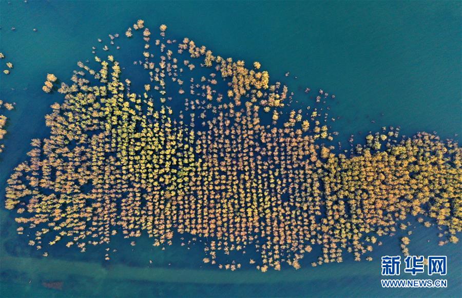 （环境）（3）俯瞰河南淅川丹江口水库库区