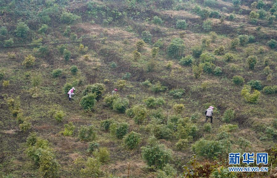 (新华全媒头条·图文互动)(12)乌蒙欢歌高铁来——写在成贵高铁通车之际