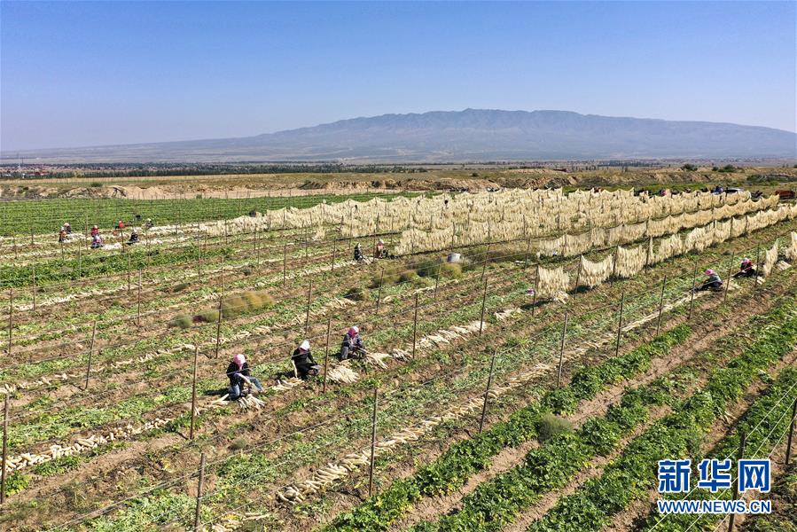 (新华全媒头条·图文互动)(13)从水困到水兴——宁夏“水样本”中的发展密码