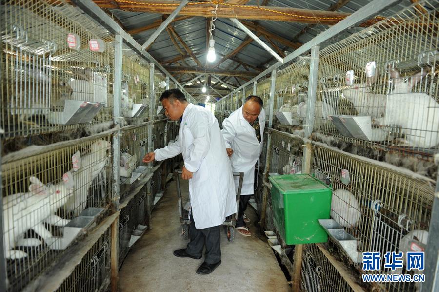 (新华全媒头条·图文互动)(4)干部去哪儿了?——贵州干部大规模下沉脱贫攻坚一线纪实