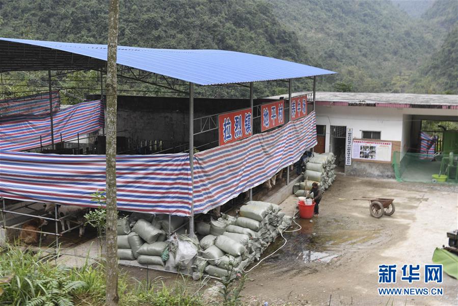 (脱贫攻坚·图文互动)(2)为了不让一个贫困户落下——追记广西都安县驻村第一书记黄景教