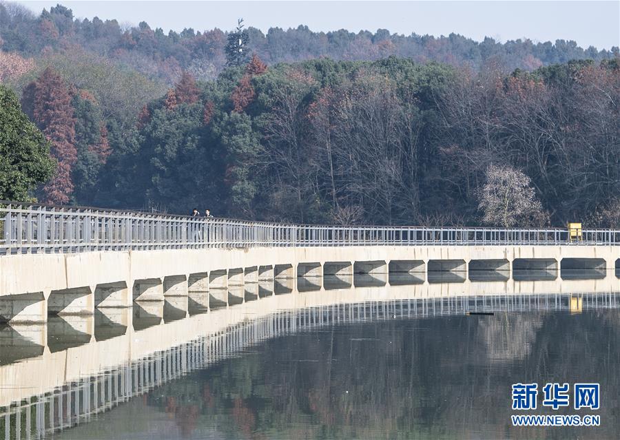 （两会&middot;图文互动）（8）&ldquo;这样的绿道太赞了！&rdquo;&mdash;&mdash;代表委员热议东湖绿道建设