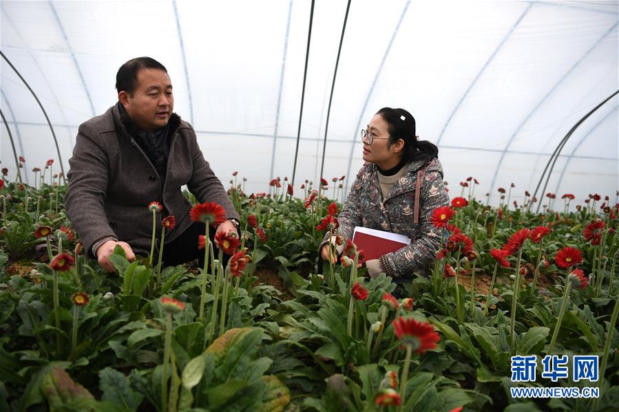 （两会&middot;图片故事）（4）全国人大代表王萌萌：关注乡村人才振兴