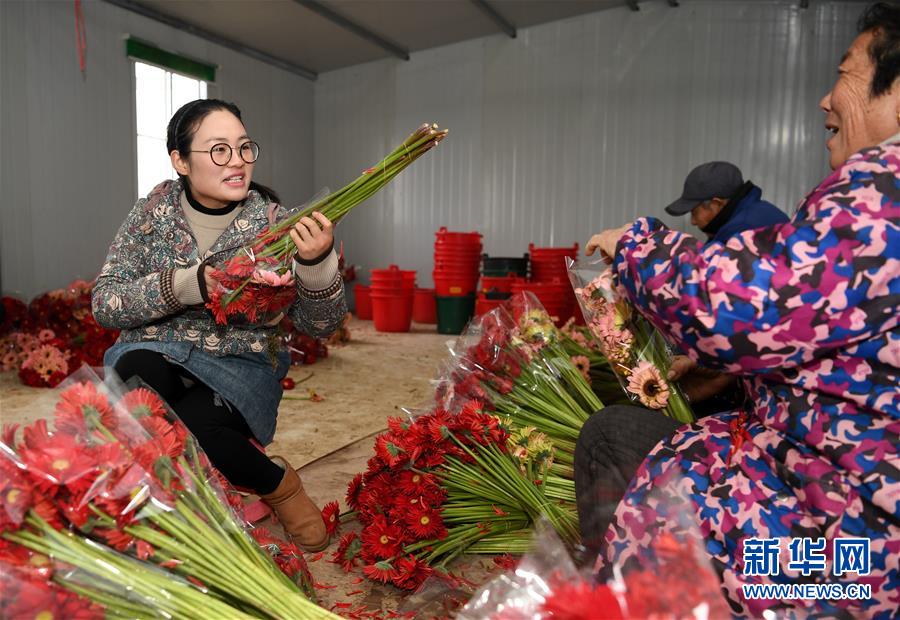 （两会&middot;图片故事）（5）全国人大代表王萌萌：关注乡村人才振兴