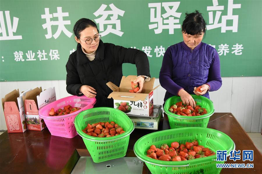 （两会&middot;图片故事）（8）全国人大代表王萌萌：关注乡村人才振兴