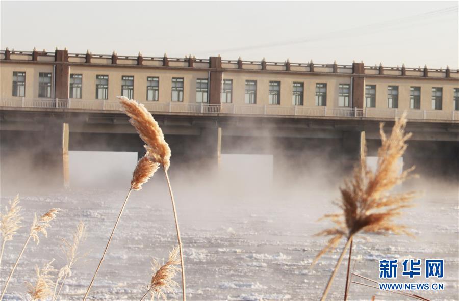 (环境)(4)黄河三盛公水利枢纽库区出现“水煮黄河”景观