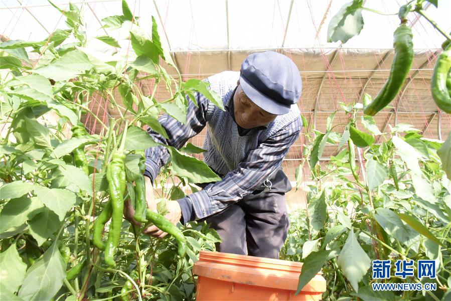 (新华全媒头条·在习近平新时代中国特色社会主义思想指引下——新时代新作为新篇章·总书记关切脱贫事·决胜贫困·图文互动)(12)坚决歼灭最后的贫困堡垒——写在决胜脱贫攻坚战开年之际