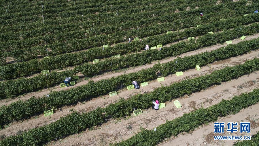 (新华全媒头条·在习近平新时代中国特色社会主义思想指引下——新时代新作为新篇章·总书记关切脱贫事·决胜贫困·图文互动)(15)坚决歼灭最后的贫困堡垒——写在决胜脱贫攻坚战开年之际