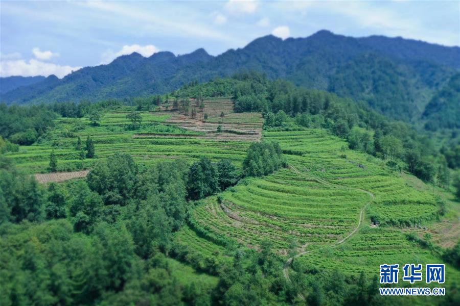 （在习近平新时代中国特色社会主义思想指引下&mdash;&mdash;新时代新作为新篇章&middot;总书记关切脱贫事&middot;决胜贫困&middot;图文互动）（7）易地扶贫搬迁：助力&ldquo;跨越式&rdquo;奔小康