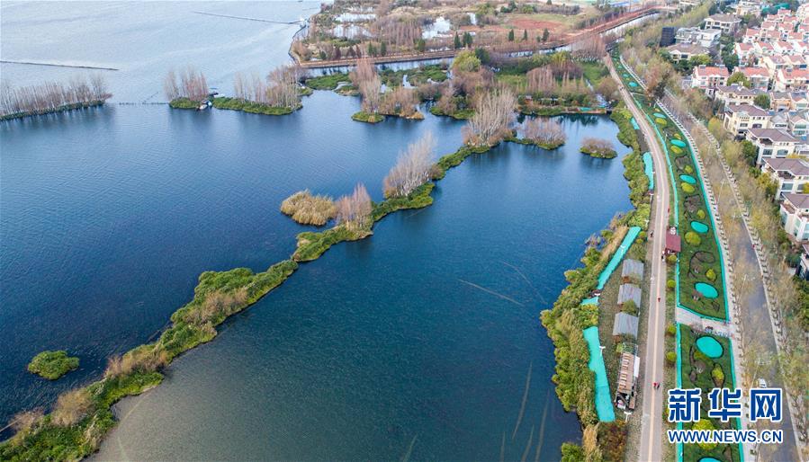 这是云南滇池和周边湿地（2019年1月20日摄，无人机照片）。新华社记者 胡超 摄