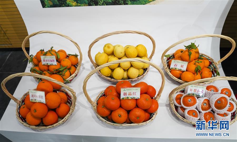 (来自一线的调查报告·图文互动)(5)乡村“慢生活” 发展新空间——重庆长寿“慢城”挖掘农旅融合新路