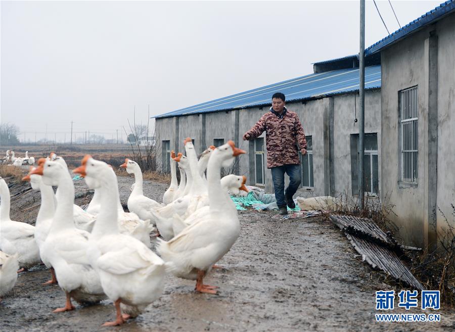 （新春走基层）（5）安徽霍邱：我是&ldquo;自强脱贫户&rdquo;