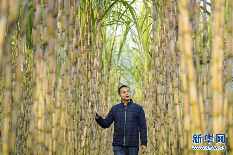 （新春走基层）（4）重庆：退捕上岸 长江渔民赵泽伦的陆上新生活