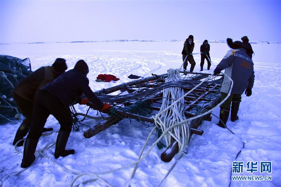 （新春走基层·图文互动）（3）“干活的人不会冷”——直击新疆吉力湖冬捕现场