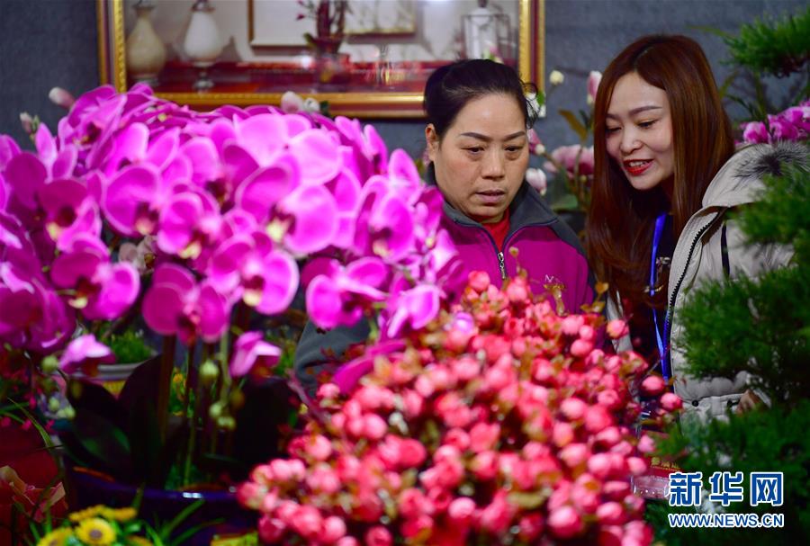 （新春走基层）（3）备年货 迎新春
