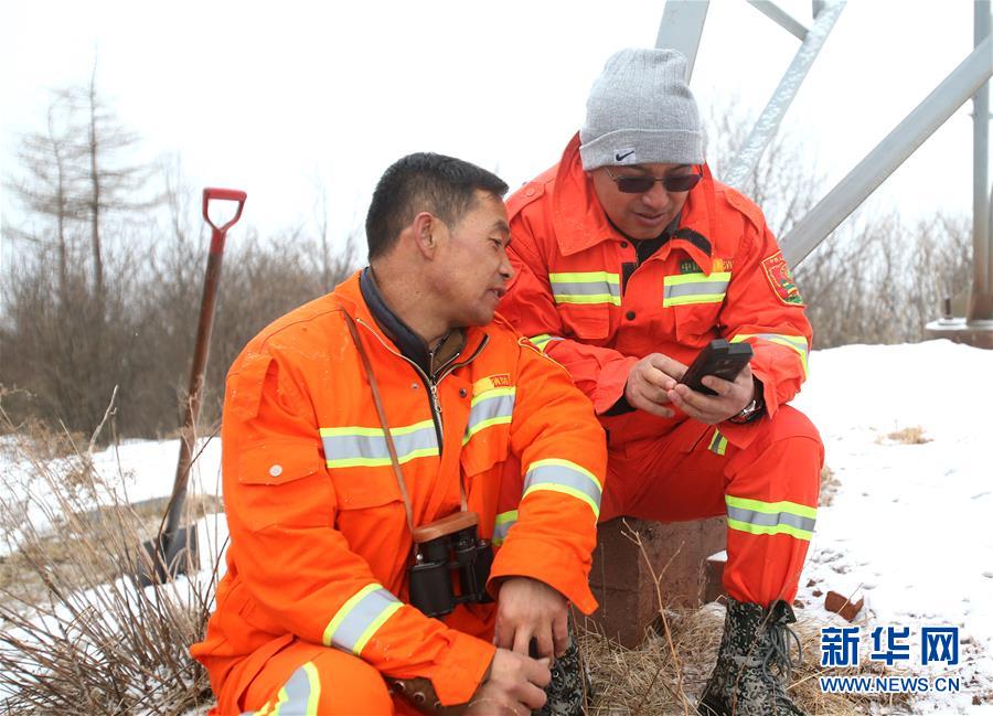 （新春走基层）（5）六盘山里的&ldquo;守望者&rdquo;