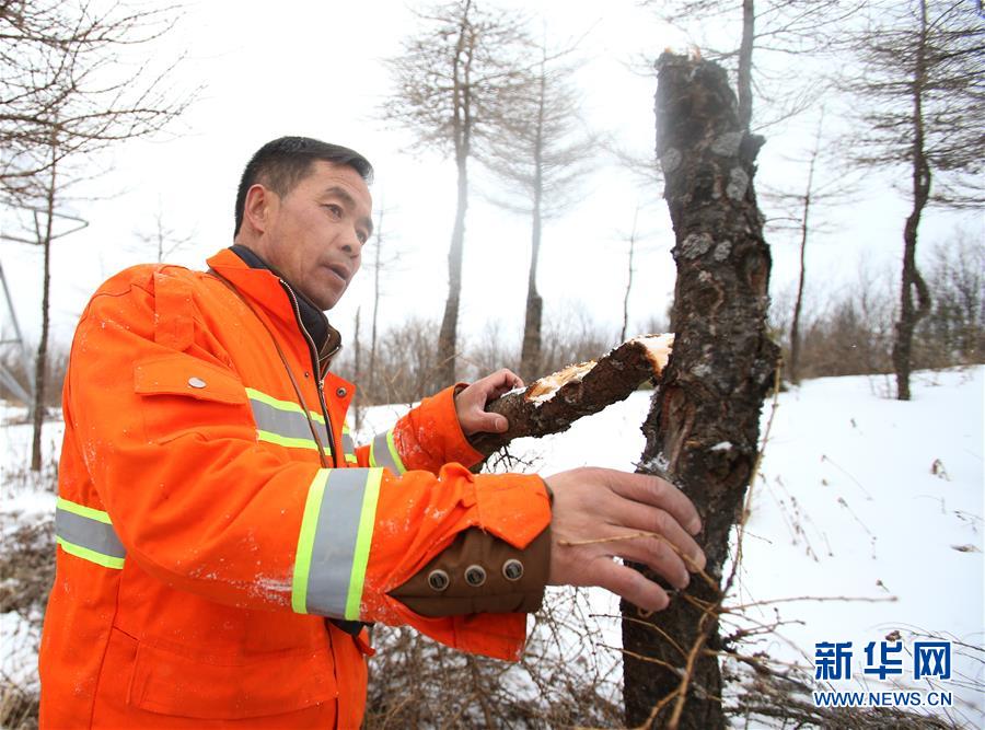 （新春走基层）（6）六盘山里的&ldquo;守望者&rdquo;