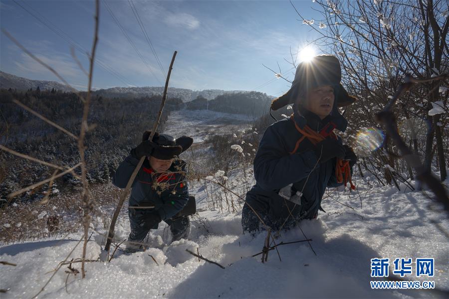 （新春走基层·图文互动）（3）走向雪山深处的巡线工人