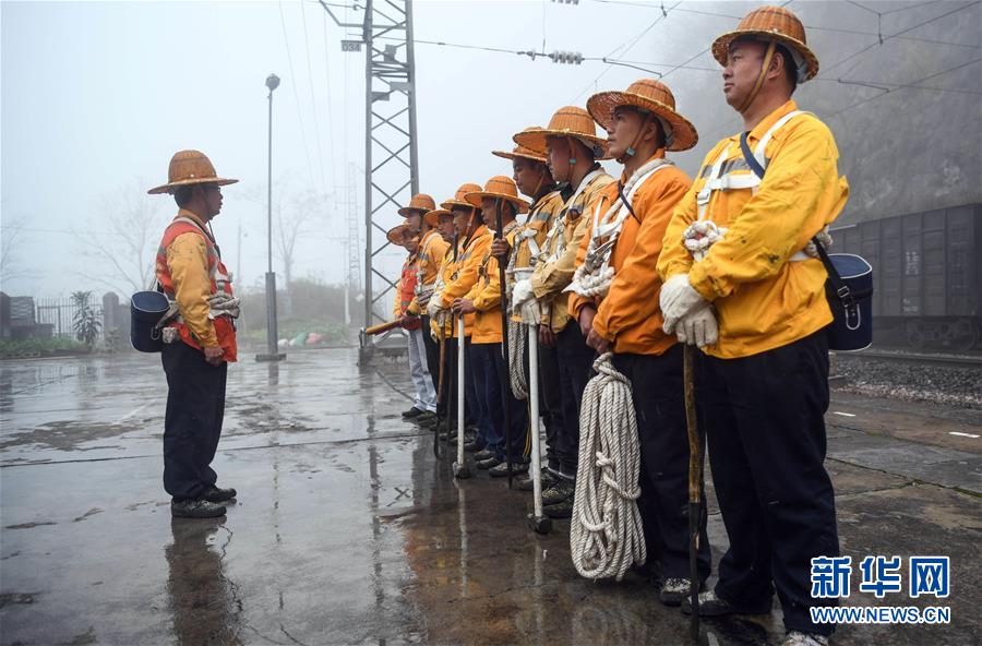 （新春走基层）（1）云雾之巅的“爬山虎”