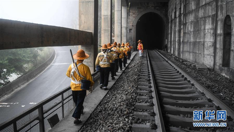 （新春走基层）（2）云雾之巅的“爬山虎”