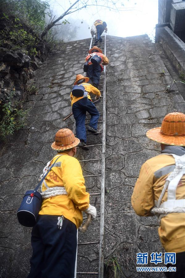 （新春走基层）（3）云雾之巅的“爬山虎”