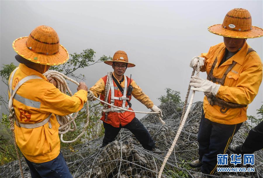 （新春走基层）（7）云雾之巅的“爬山虎”