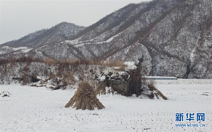 （新春走基层·图文互动）（1）宝石村之“望”