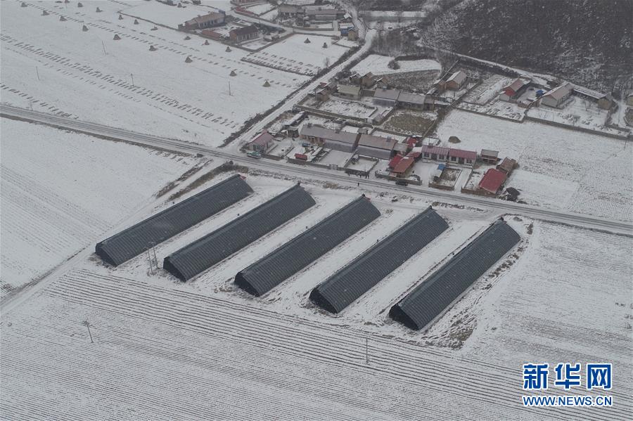 （新春走基层·图文互动）（2）宝石村之“望”