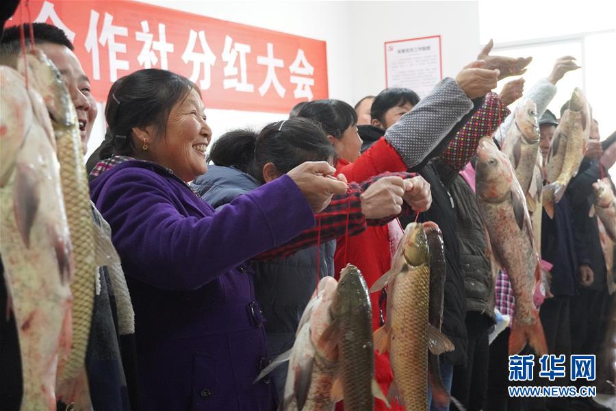 （新春走基层·图文互动）（3）“空壳村”分红啦！