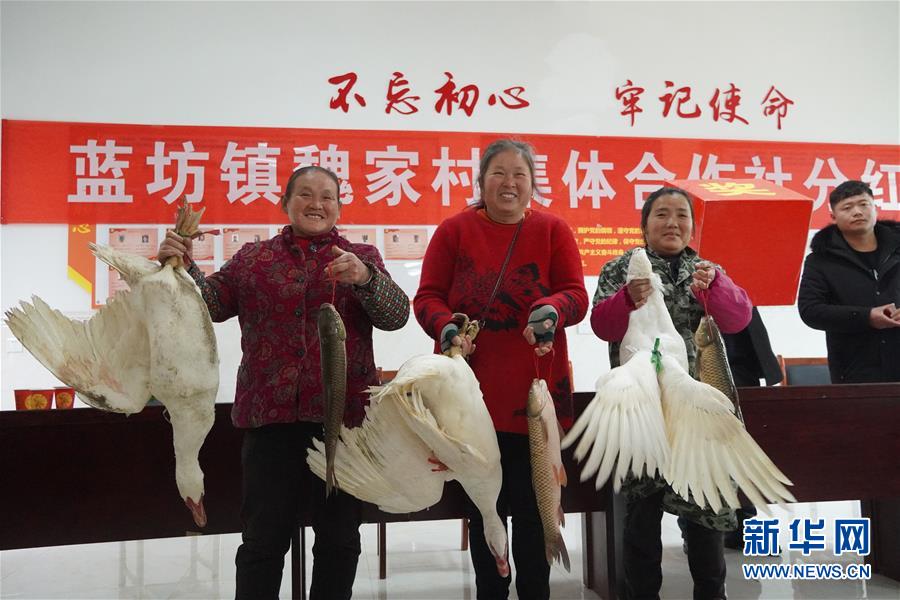 （新春走基层·图文互动）（4）“空壳村”分红啦！