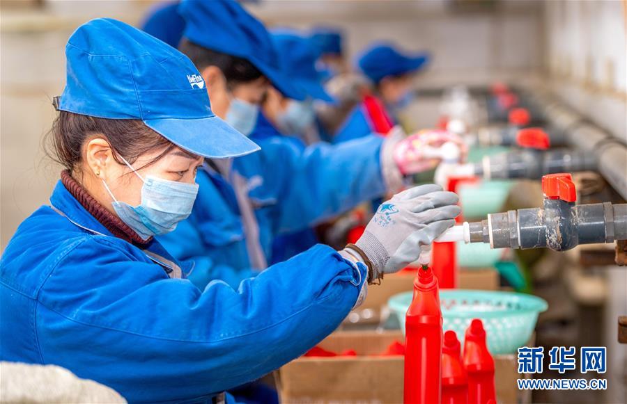 #（新型冠状病毒感染的肺炎疫情防控）（1）山西运城：加紧生产消毒液 增加市场供应