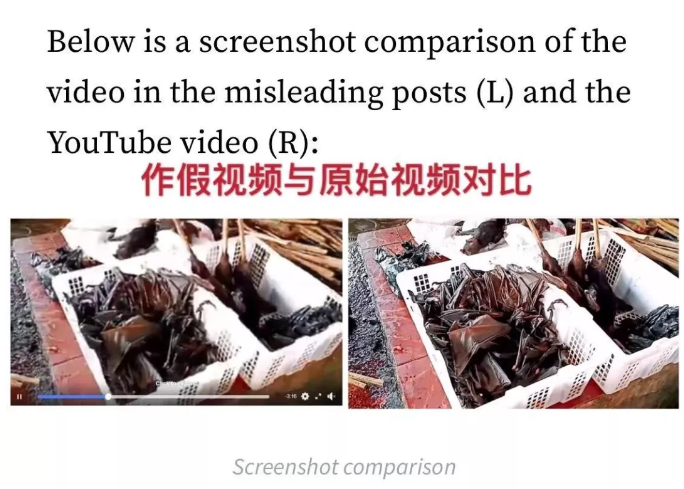 关于新型冠状病毒感染的肺炎疫情的最新辟谣