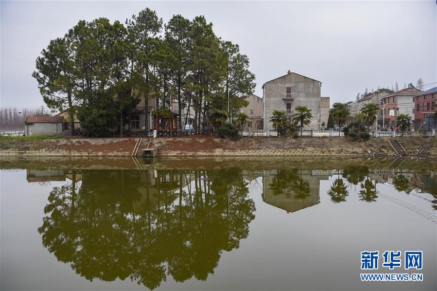 (聚焦疫情防控·图文互动)(3)一个湖北村庄的阻击战