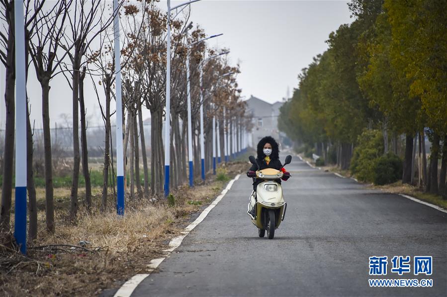 (聚焦疫情防控·图文互动)(4)一个湖北村庄的阻击战