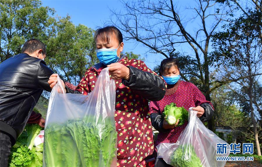 （圖文互動）（6）廣西桂林：“借力+接力”新鮮蔬菜進社區