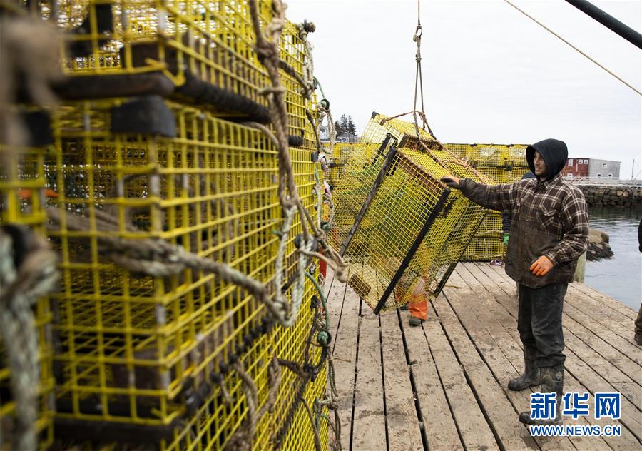 （国际·图文互动）（3）通讯：美国龙虾业期待重返中国市场