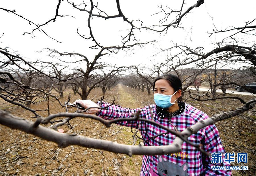 (聚焦疫情防控·图文互动)(3)农民工返城:几多憧憬几许等待——走进疫情下的河北劳务输出专业村