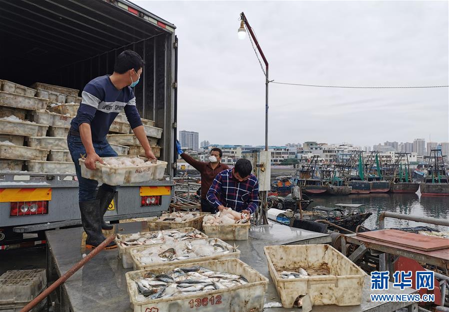 (图文互动)(5)与疫情抗争 与春光同行——广西农村春耕备耕一线观察