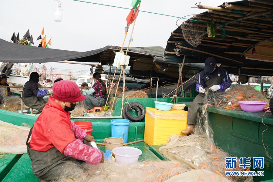 (图文互动)(2)与疫情抗争 与春光同行——广西农村春耕备耕一线观察