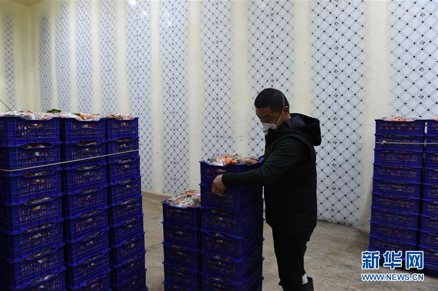 (图文互动)(7)与疫情抗争 与春光同行——广西农村春耕备耕一线观察