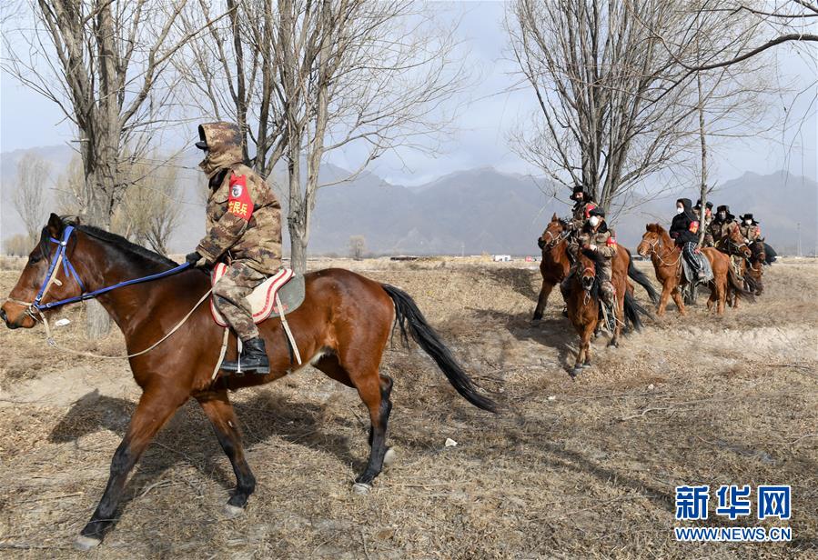 (聚焦疫情防控·图文互动)(2)行进在乡间的马背巡逻队