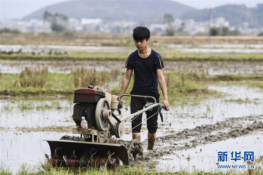 (图文互动)(1)“早一天复工,损失就少一点”——广西以精准防控推动复工复产一线见闻