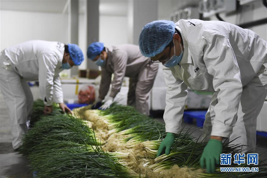 (图文互动)(6)“早一天复工,损失就少一点”——广西以精准防控推动复工复产一线见闻