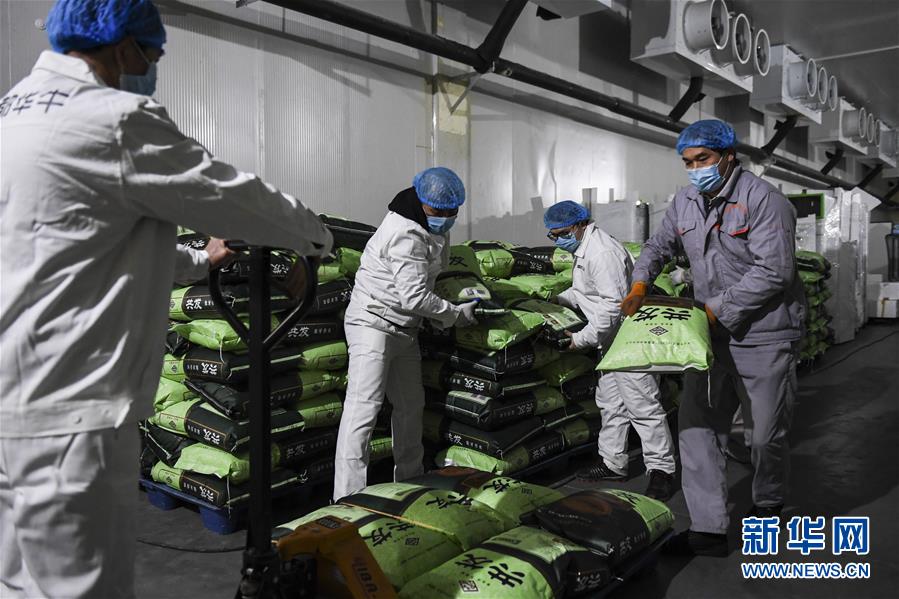 (抓好经济发展 应对复杂局面·图文互动)(1)“一企一策”解难题 大项目按下“加速器”——广西精准有序推动项目开工复工