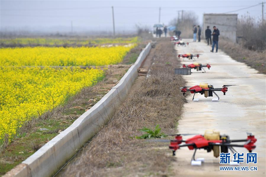 （抓好春耕备耕 稳住农业生产·图文互动）（4）智能农机、“订单”服务、“云端”种菜——来自江西的春耕“新事”