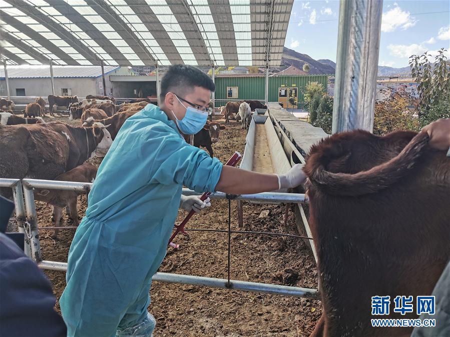 (决战决胜脱贫攻坚·图文互动)(2)脱贫“不暂停” 服务“不打烊”——天津通过“云端”帮扶为甘肃受援地区战贫继续助力