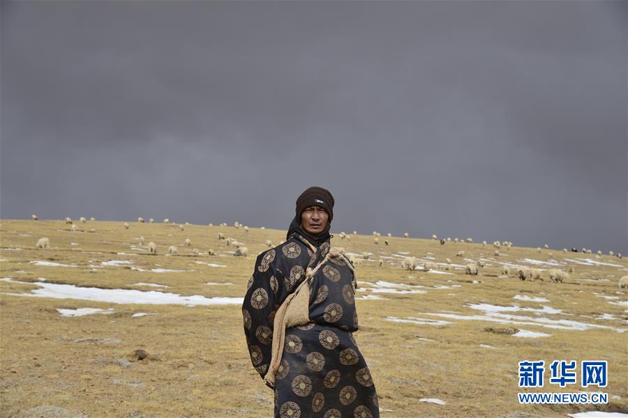 （新华全媒头条·图文互动）（8）跨越半个世纪的生命迁徙——西藏极高海拔生态搬迁破解人与自然共生难题