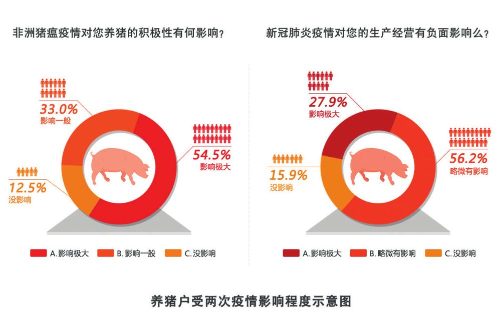 生猪养殖到底能不能赚钱-新华网亚新体育(图1)
